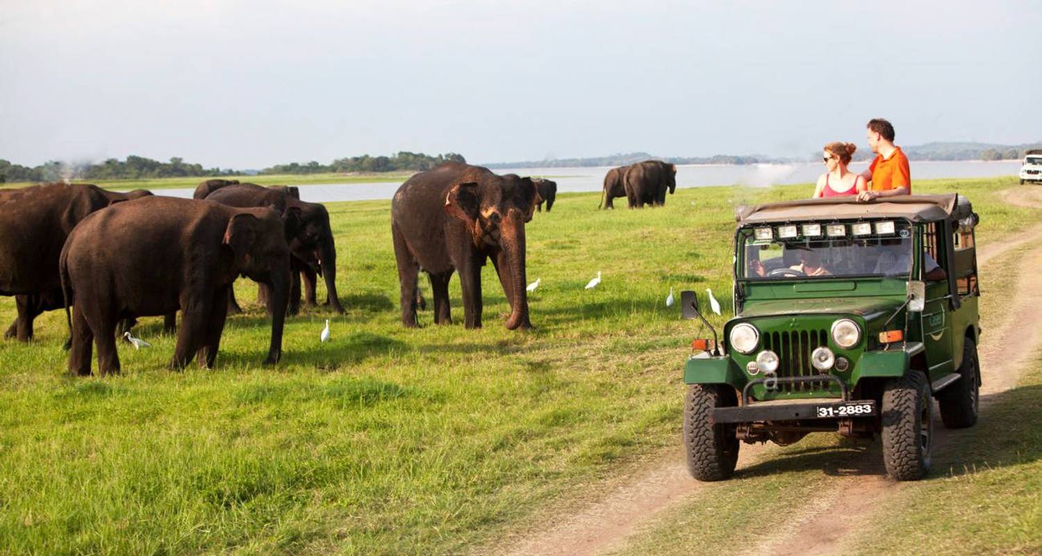 Grand Tour Of Sri Lanka - Fastway Travel And Tourism